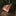 BattlBox Shelter and Tarp System in brown ripstop nylon with stakes, guy ropes, and stuff sack_67693716340809-2