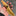 Dedfish Co. McCrea Fixed Blade Knife_41853215572041-6