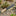 ESEE Libertariat, Dibuat di AS_41277599907913-7