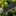 ESEE Libertariat, Dibuat di AS_41277599907913-10