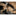 Fox Knives Champagne Saber_41277585162313-3