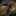 Fox Knives FX-597 The Dart Karambit_67693673873481-11