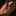 Fox Knives FX-599 Folding Karambit_67693672792137-24