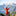 Dĩa Titanium Peak Refuel_41277602267209-4