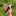 RAZORBACK Signature Folding Knife, 9 Interchangeable Blades_41277566025801-6