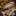 Double X Knives Bush Baby: Designed By Neal Green_41821861609545-3