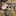 Grim Workshop Bypass Card - Gate and Door Lock Bypass Tool_41597827612745-5