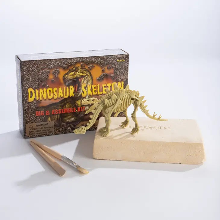 Excavation Kit Dinosaur Skeleton - BattlBox Global