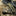 Fox Knives FX-599 Folding Karambit_67693672792137-66