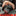 RAPID ROPE MINI_41277596860489-7