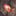 SOL Scout Survival Kit_67693686161481-3