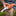 Fox Air Rescue Folder Orange_67693720731721-7