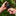 Tactica K.400 Fixed Blade Hunting Knife_67693696352329-6