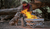 25% Off Fireside Outdoor